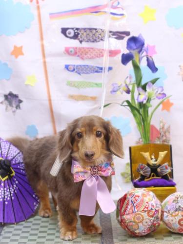 20240506モカくん